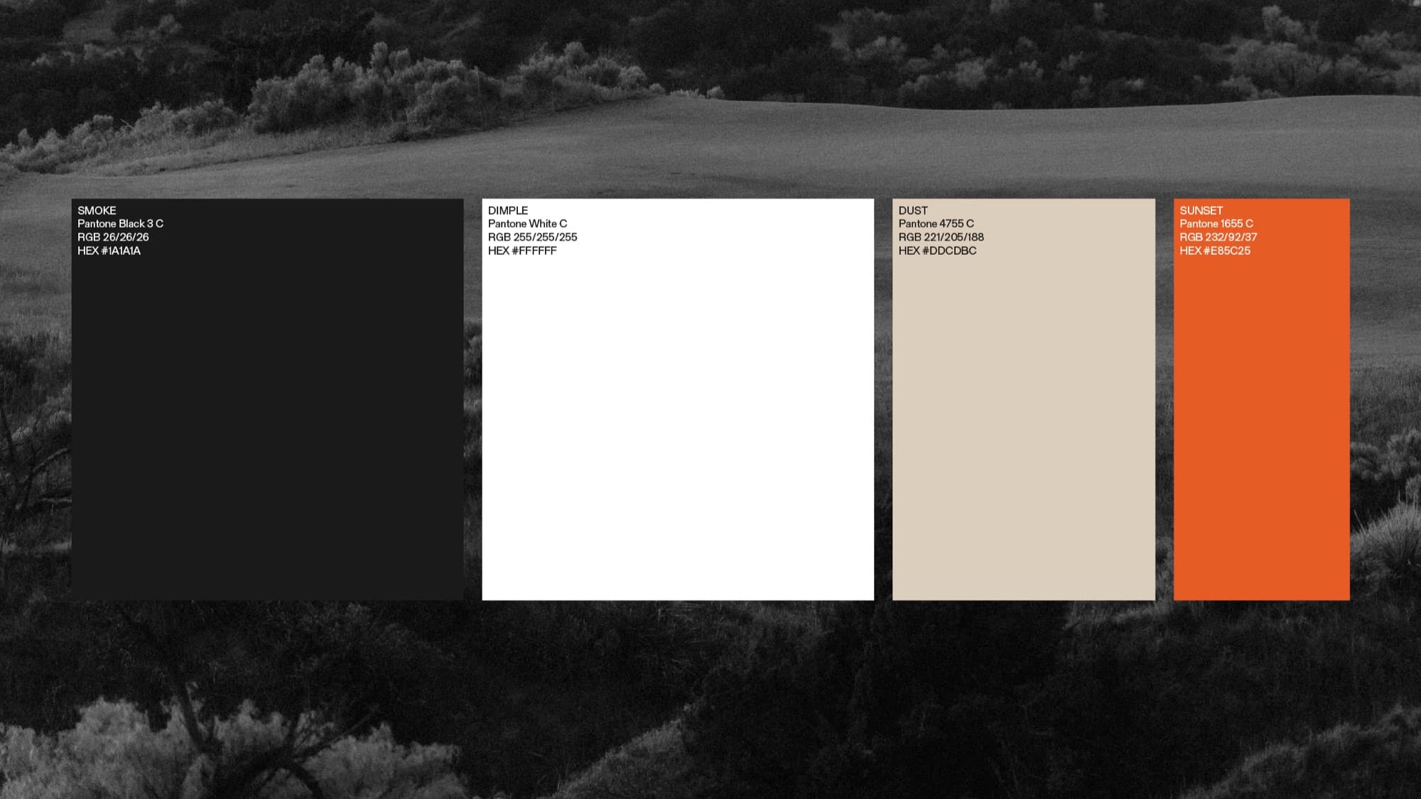 Childress Hall — Brand Launch (5)